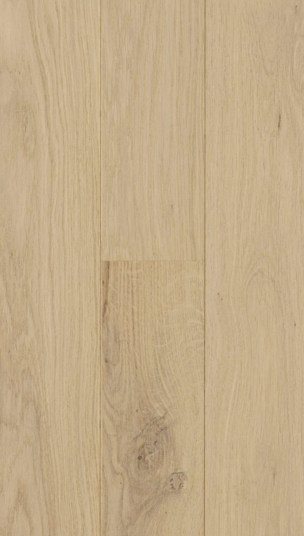 RIVA MAX – Cotton